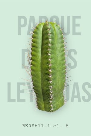 Parque De Las Leyendas BK08611.4 clone A